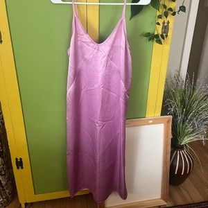 Everlane Silk Pink Slip Dress